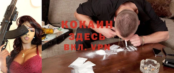 гидропоника Алзамай