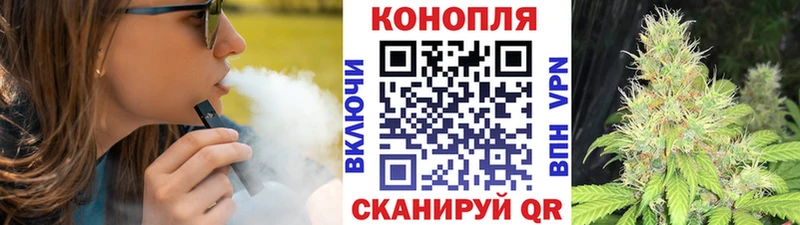 Шишки марихуана гибрид  мега как войти  Тара 