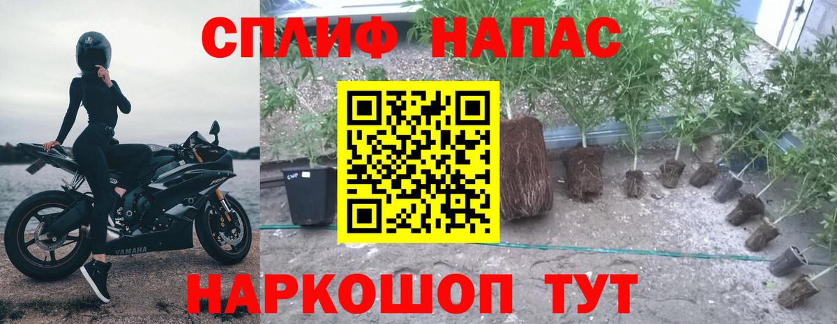 Тара  Канабис Ganja  Бошки Шишки индика  Шишки марихуана ГИДРОПОН  Вход с VPN 